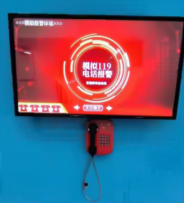 案例